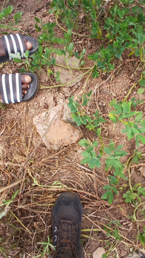 1 terrain de 600m² sur carrefour en vente à 2.500.000f a KORHOGO ( Bafimé )